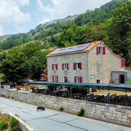 Ferme Auberge Du Col De La Vaccia Olivese Eksteriør billede